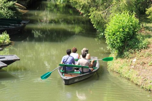 Gîte Rural la Grenouille