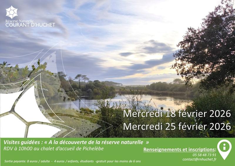 Partez à la découverte de la Réserve Naturelle du Courant d'Huchet