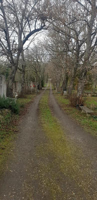 Propriété - 270 m² - 8 pièces