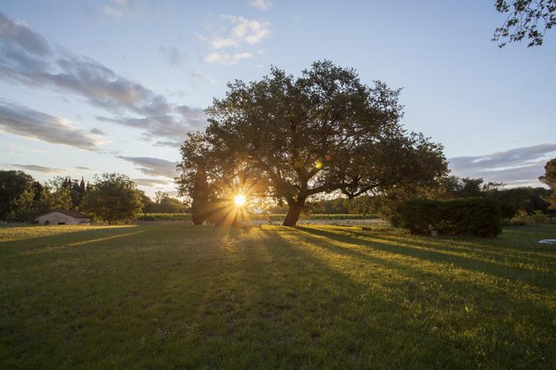 Aperitif Vigneron au Domaine Villeclare