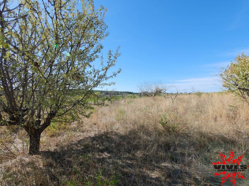 Terrain agricole - 5 075 m²