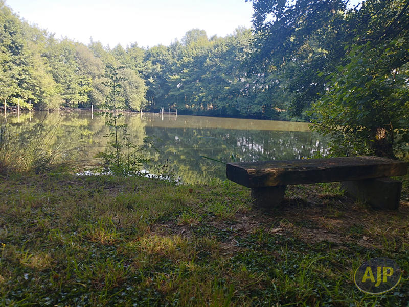 Terrain - 11 165 m²