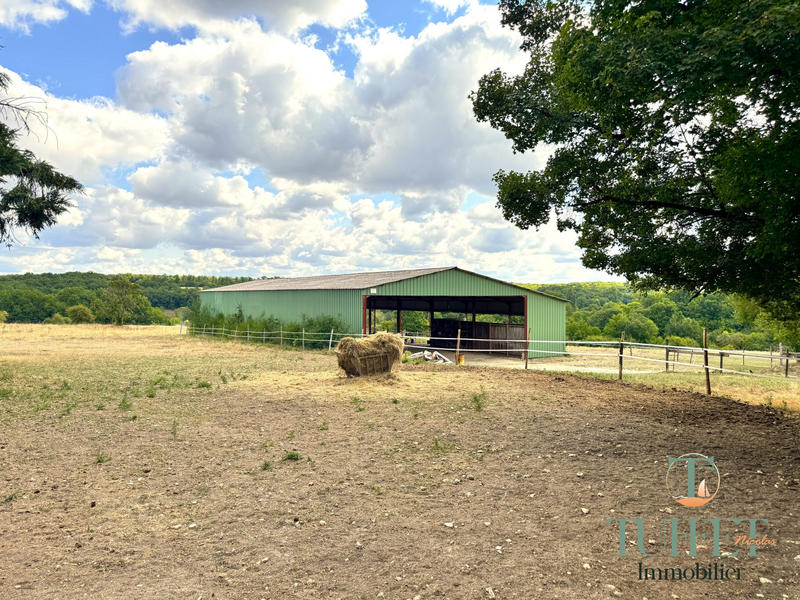 Maison - 274 m² - 9 pièces