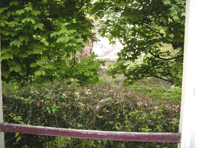 Appartement - 17 m² - 1 pièce