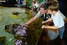 Dimanche intergénérationnel à Maréïs