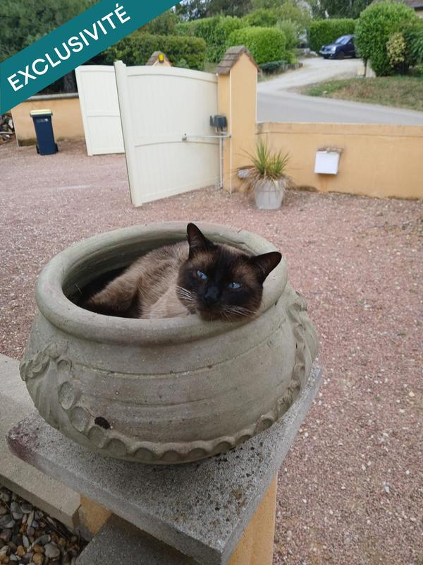 Maison - 125 m² - 6 pièces