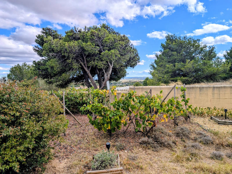 Maison - 155 m² - 5 pièces