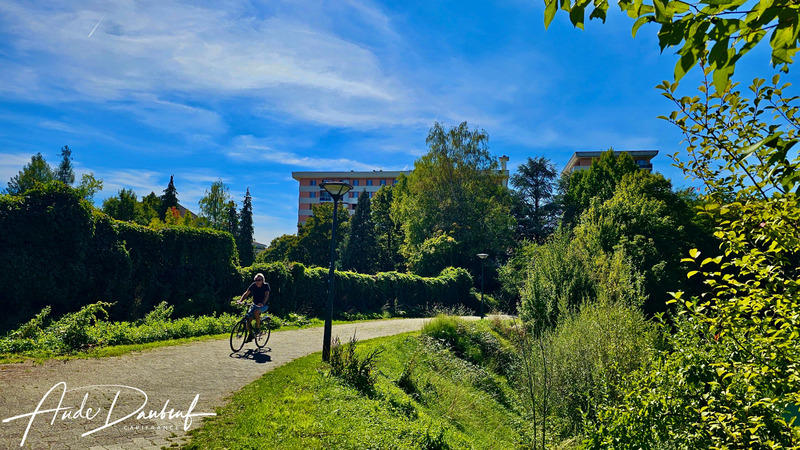 Appartement - 105 m² - 5 pièces