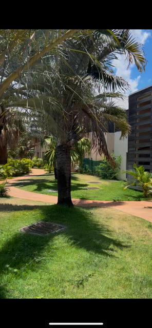 Appartement ancien - 75 m² - 4 pièces