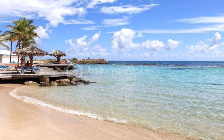 Studio - 19 m² - 1 pièce