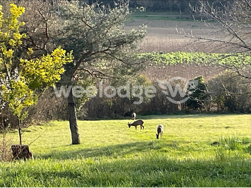 Maison - 227 m² - 7 pièces