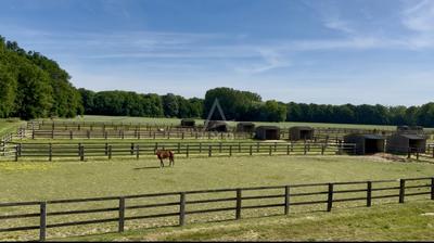 Haras - 800 m² - 20 pièces