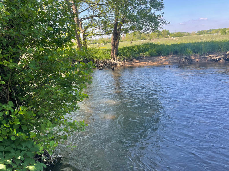 Terrain de loisirs - 1 024 m²