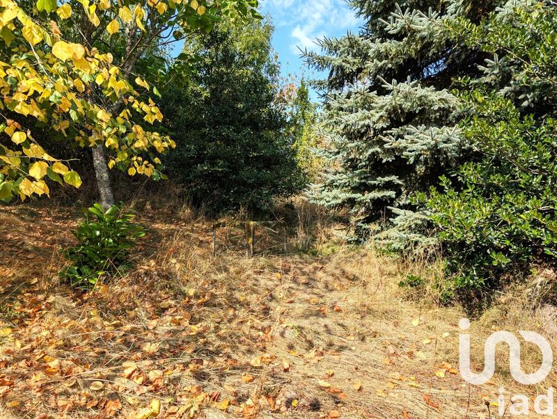 Maison - 55 m² - 3 pièces