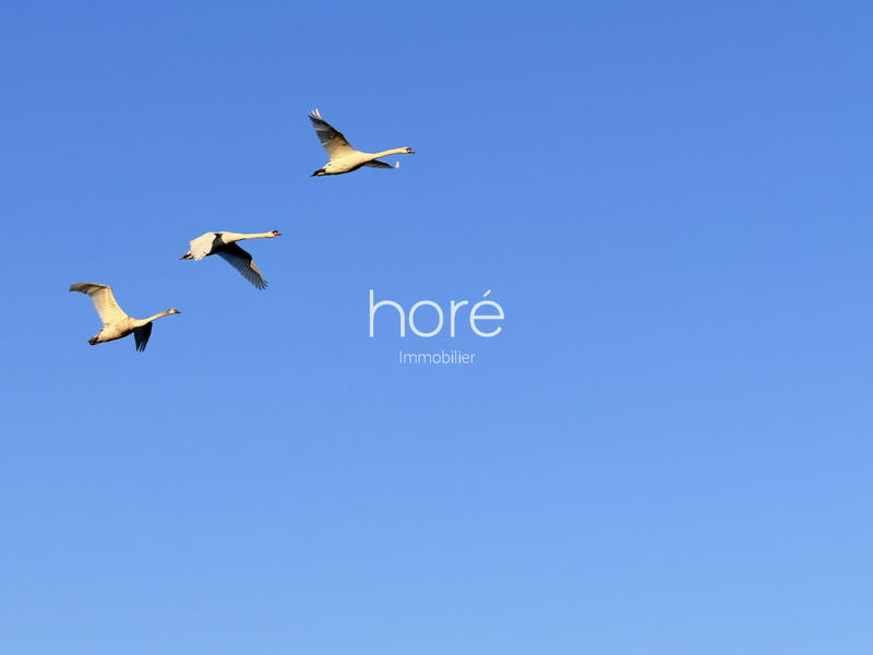 Terrain de loisirs - 87 559 m²