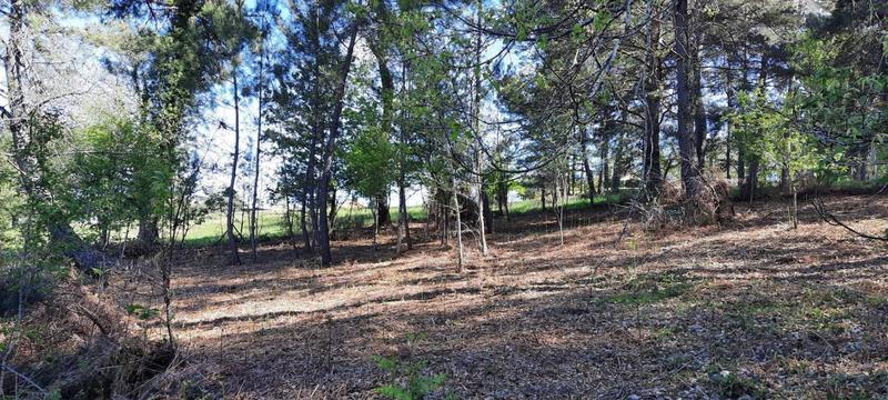 Terrain constructible - 6 721 m²