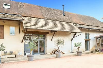 Maison - 300 m² - 13 pièces