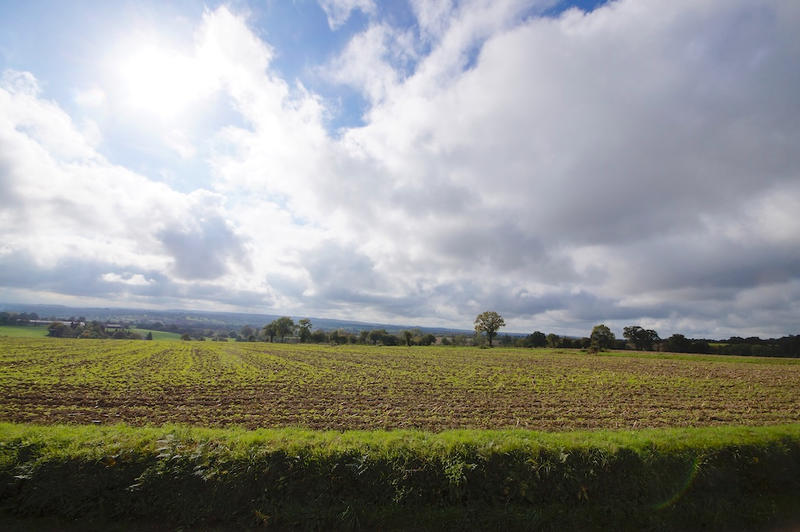 Maison - 297 m² - 8 pièces