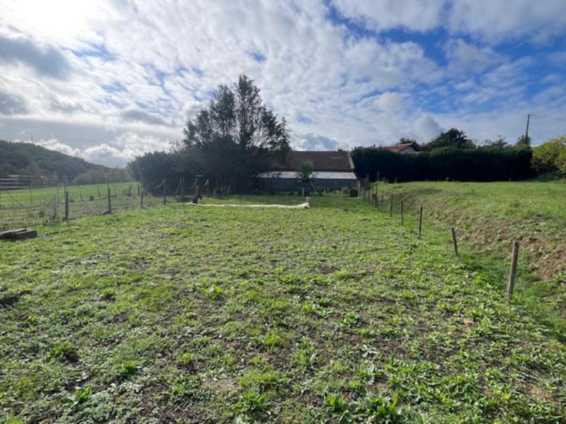 Propriété - 300 m² - 9 pièces