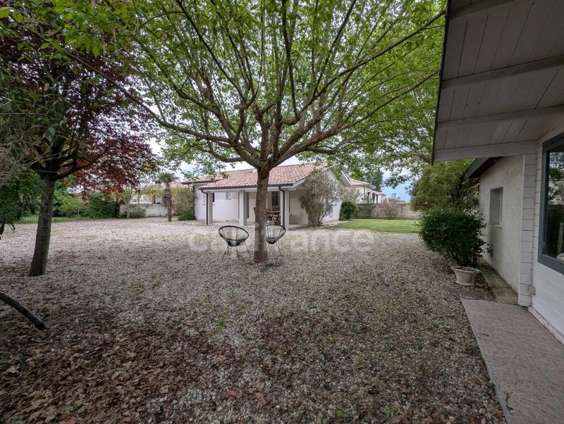 Maison - 59 m² - 3 pièces