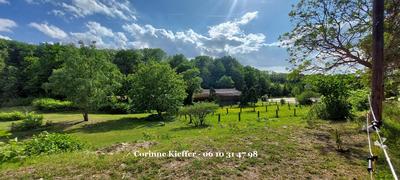 Haras - 300 m² - 4 pièces