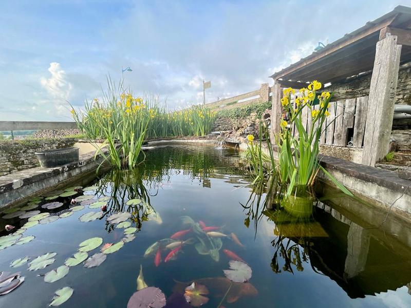 Maison - 212 m² - 8 pièces