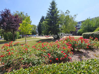 Appartement - 53 m² - 3 pièces