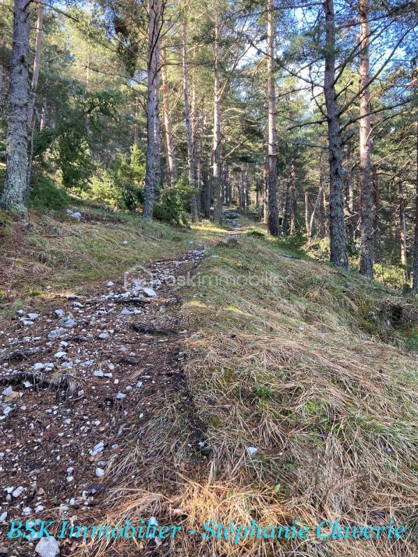 Terrain agricole - 10 100 m²