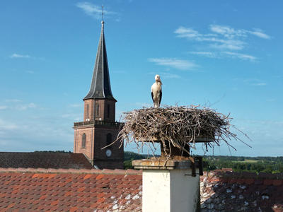 Balade ludique Randoland à Dannemarie