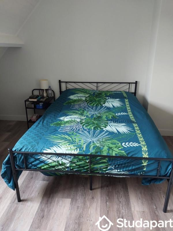 Chambre - 15 m² - 1 pièce