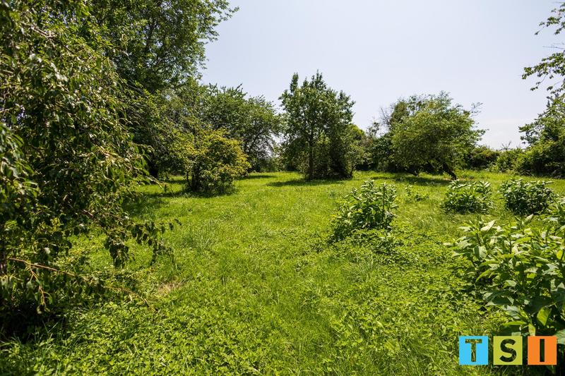 Maison bourgeoise - 250 m² - 8 pièces