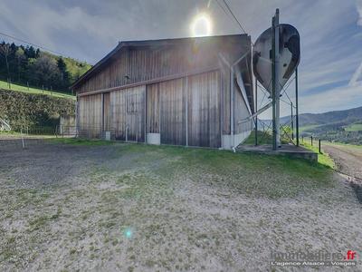 Ferme - 200 m² - 8 pièces