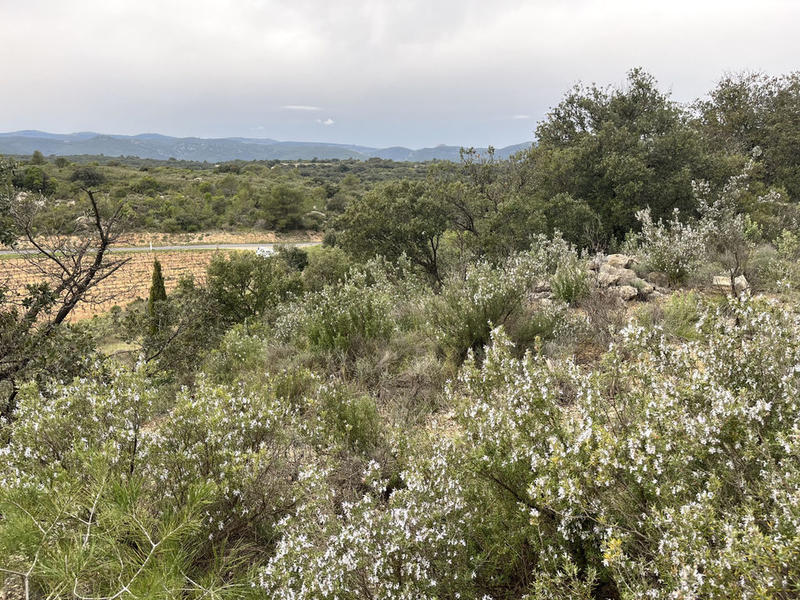 Terrain agricole - 9 590 m²