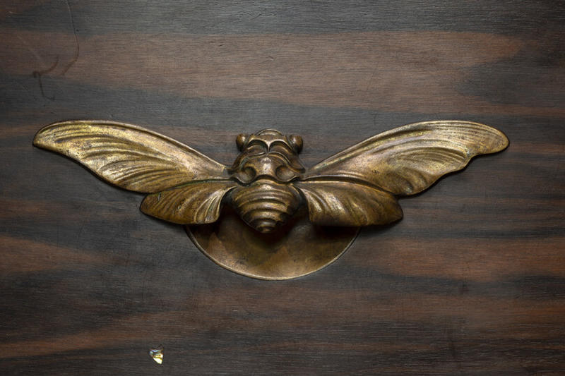 Visite guidée - Enfant - Mission mini bestioles