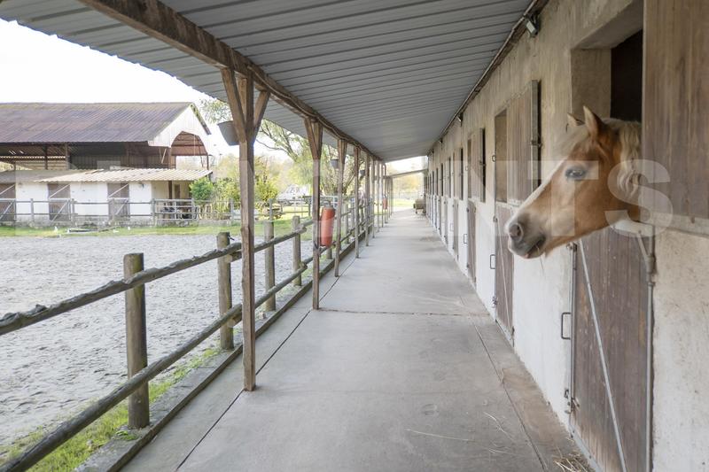 Maison de domaine équestre - 220 m² - 9 pièces