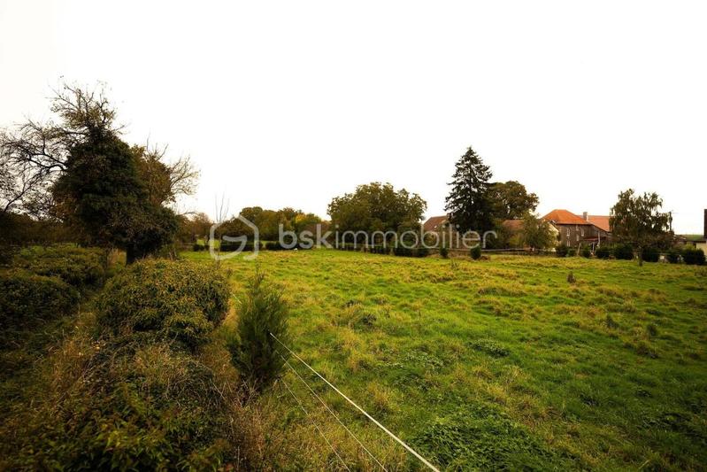 Terrain constructible - 1 235 m²