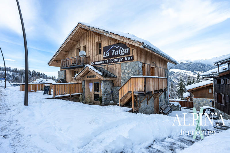 Châlet - 379 m² - 10 pièces