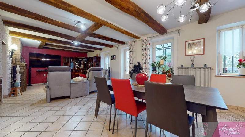 Maison - 253 m² - 10 pièces