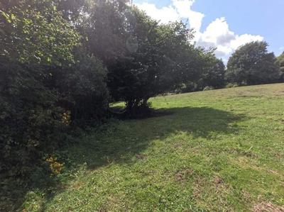 Maison en pierre - 116 m² - 7 pièces