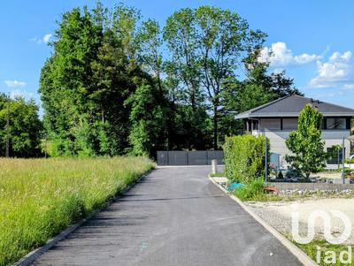 Maison de maîtres - 187 m² - 5 pièces