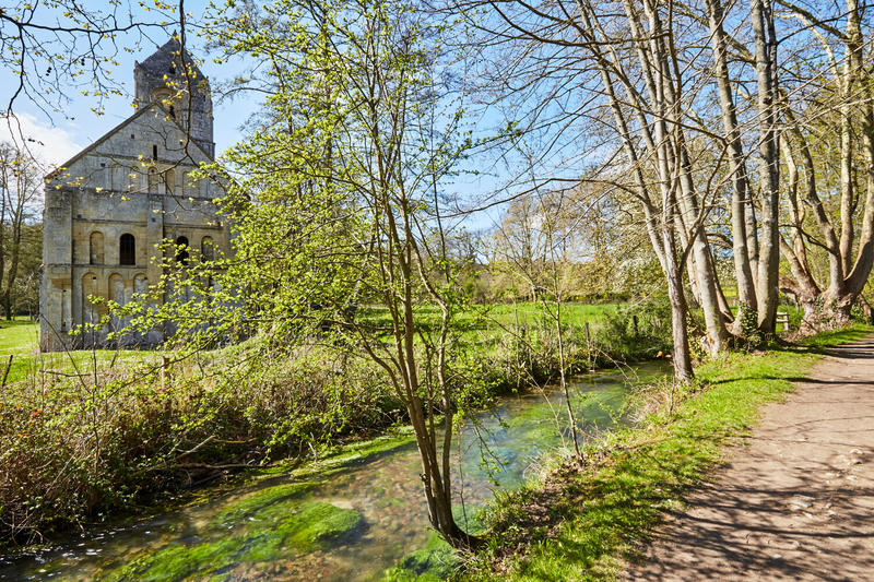 Balade botanique aux abords de la vielle église de Thaon | Rdv Découverte