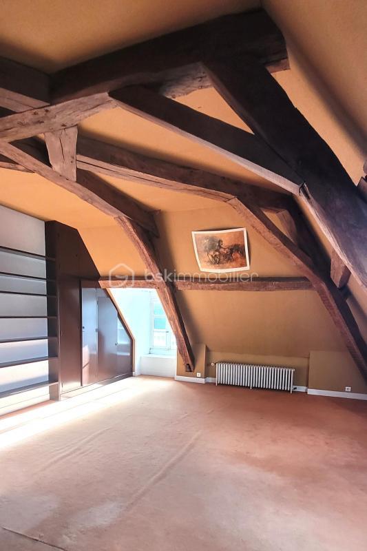 Hôtel particulier - 440 m² - 14 pièces