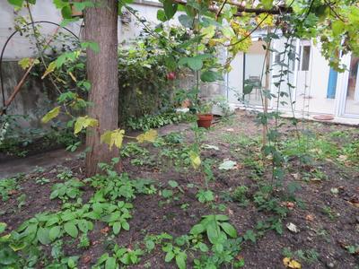 Maison ancienne - 133 m² - 6 pièces