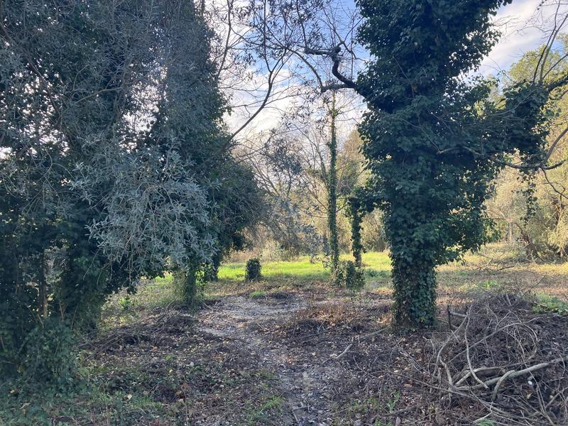 Terrain constructible - 11 000 m²