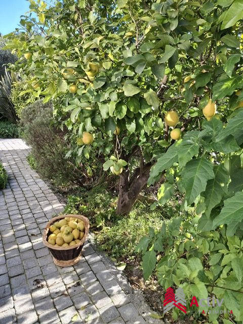 Villa - 145 m² - 5 pièces