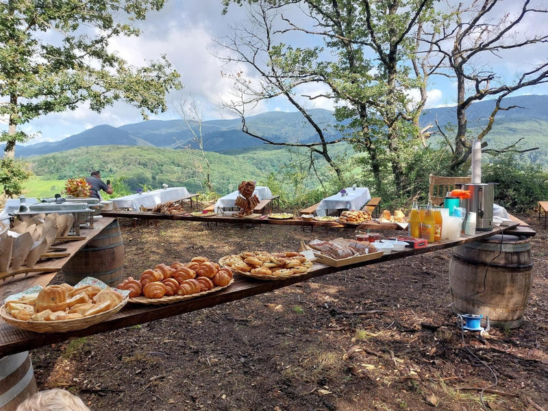 Brunch dans les vignes