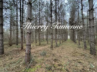 Terrain - 33 570 m²