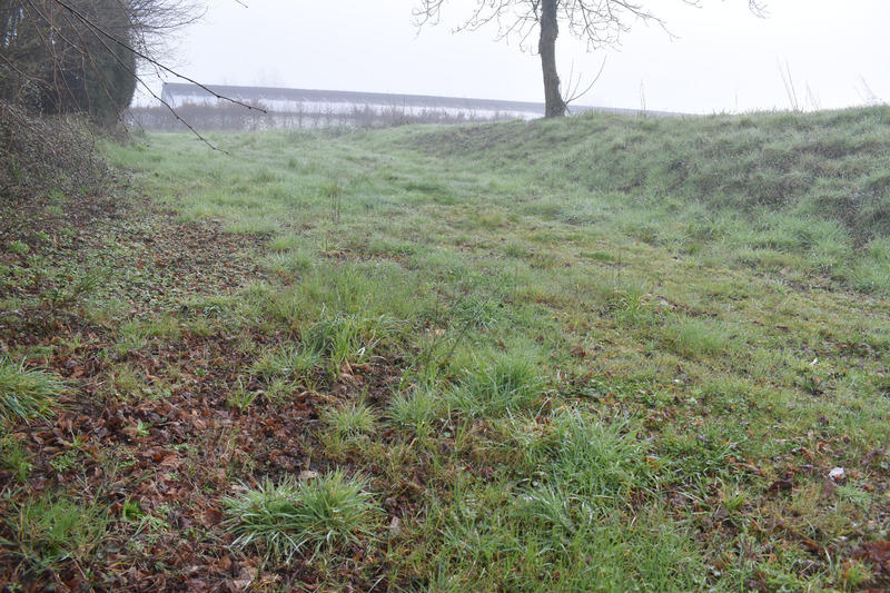 Terrain agricole - 7 179 m²