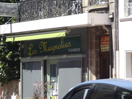 Les Magnolias