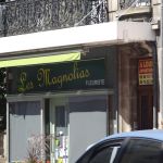 Les Magnolias